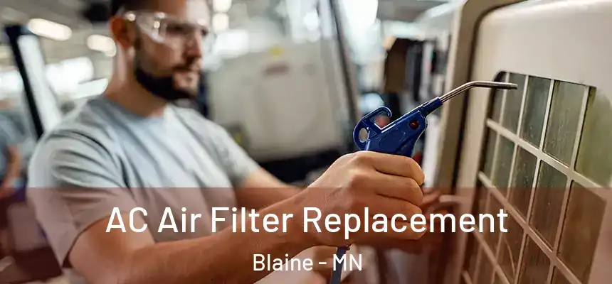  AC Air Filter Replacement Blaine - MN