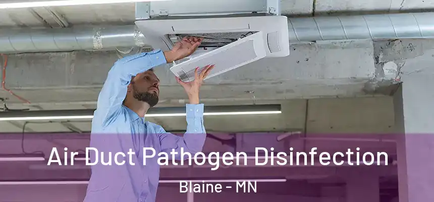 Air Duct Pathogen Disinfection Blaine - MN