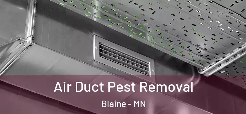  Air Duct Pest Removal Blaine - MN