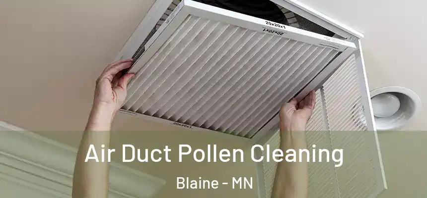 Air Duct Pollen Cleaning Blaine - MN