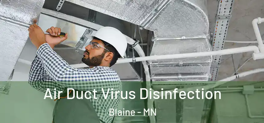  Air Duct Virus Disinfection Blaine - MN