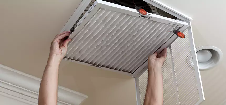 Preventive Cockroach-Proofing for Ducts in Blaine