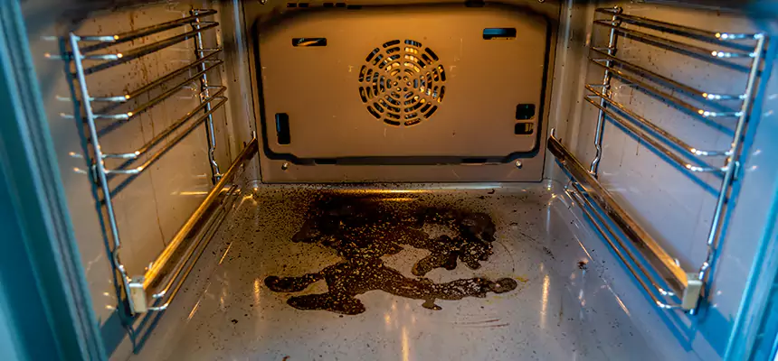 Our Dryer Vent Mold Cleaning Services in Blaine, MN