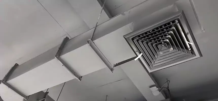 Our Pest Removal From Ducts Services in Blaine, MN