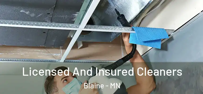 Licensed And Insured Cleaners Blaine - MN