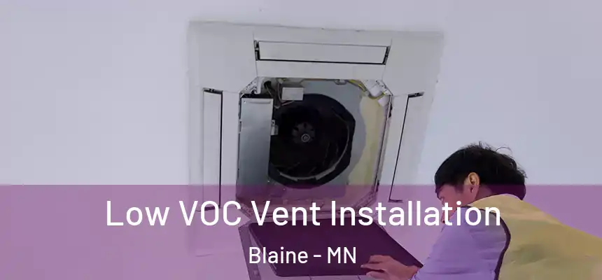  Low VOC Vent Installation Blaine - MN