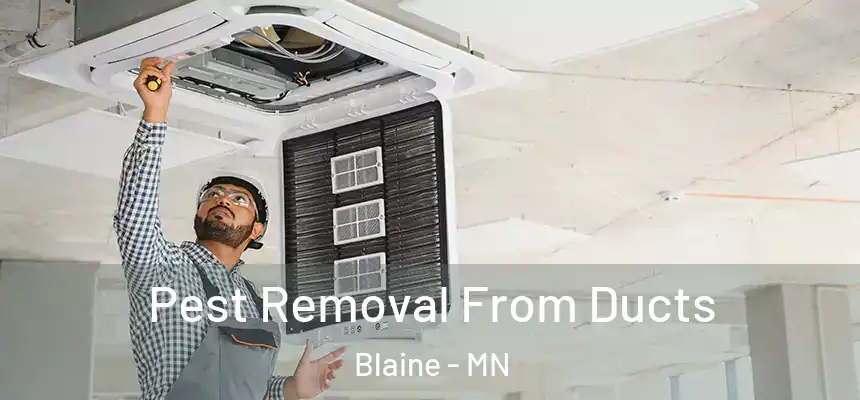 Pest Removal From Ducts Blaine - MN