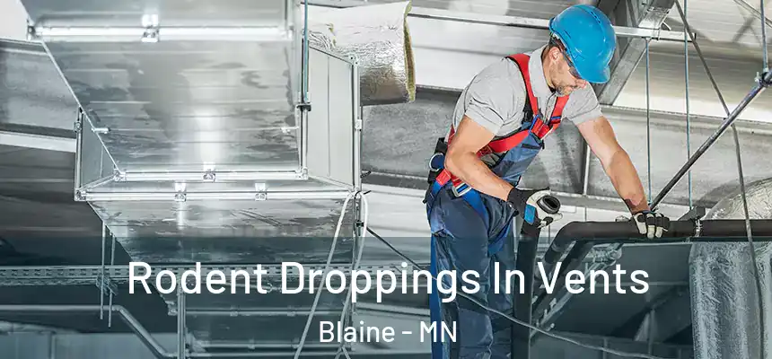  Rodent Droppings In Vents Blaine - MN