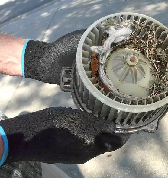 About Air Duct Mice Removal in Blaine, MN