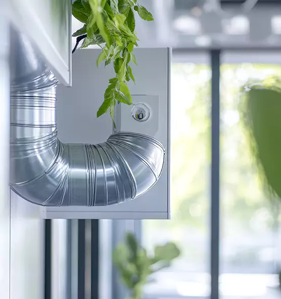 Professional Eco-Safe Dryer Vent Cleaning in Blaine, MN