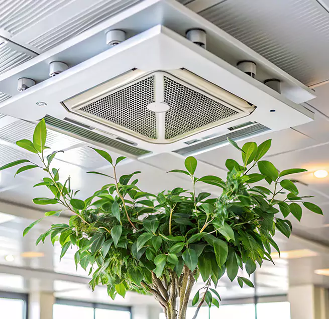 Why Homeowners & Businesses Trust Us in Blaine, MN?