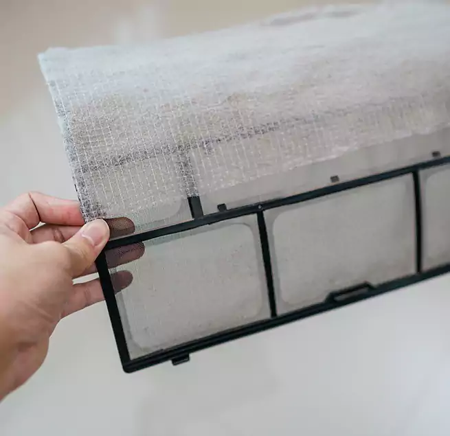 Why Homeowners & Businesses Trust Us in Blaine, MN?