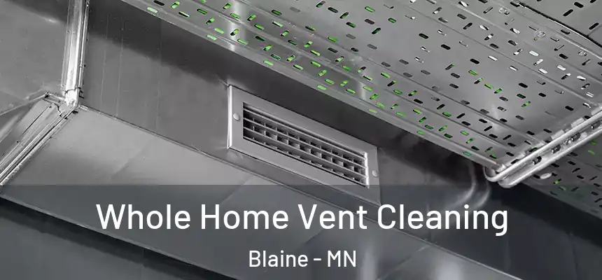 Whole Home Vent Cleaning Blaine - MN